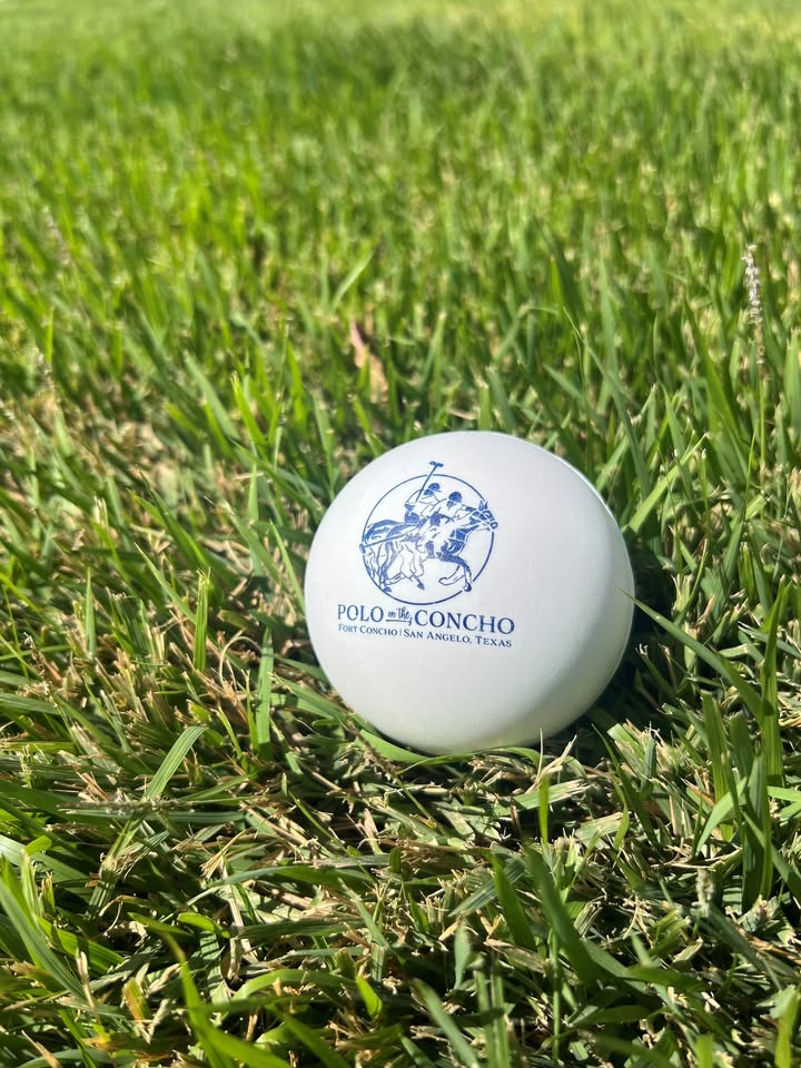 540610346 1203863755096270 3270152732144215378 n