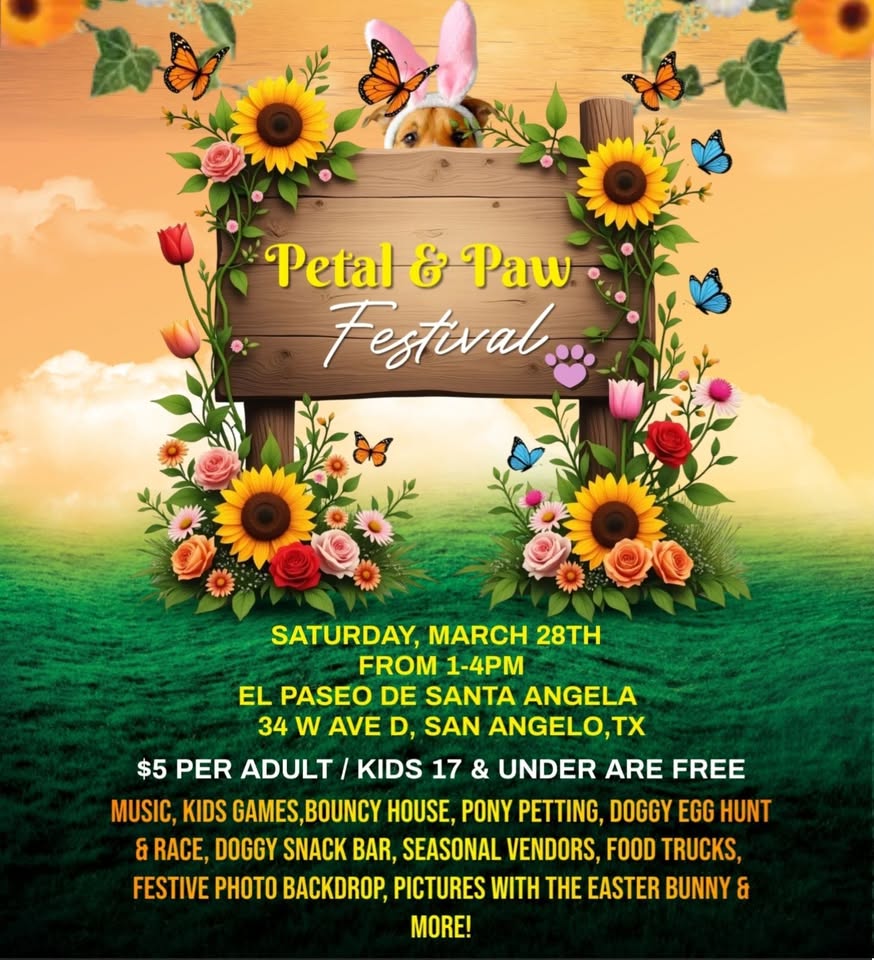 610871969 848809948147057 2469492569084120112 n