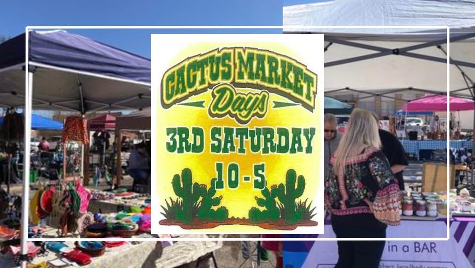 611667113 1287286613433774 4038752727668877773 n