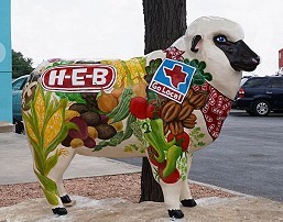 HEB 1st Sheep