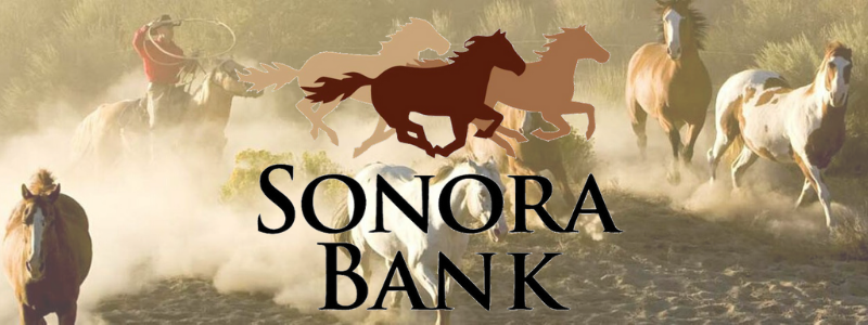 Sonora Bank
